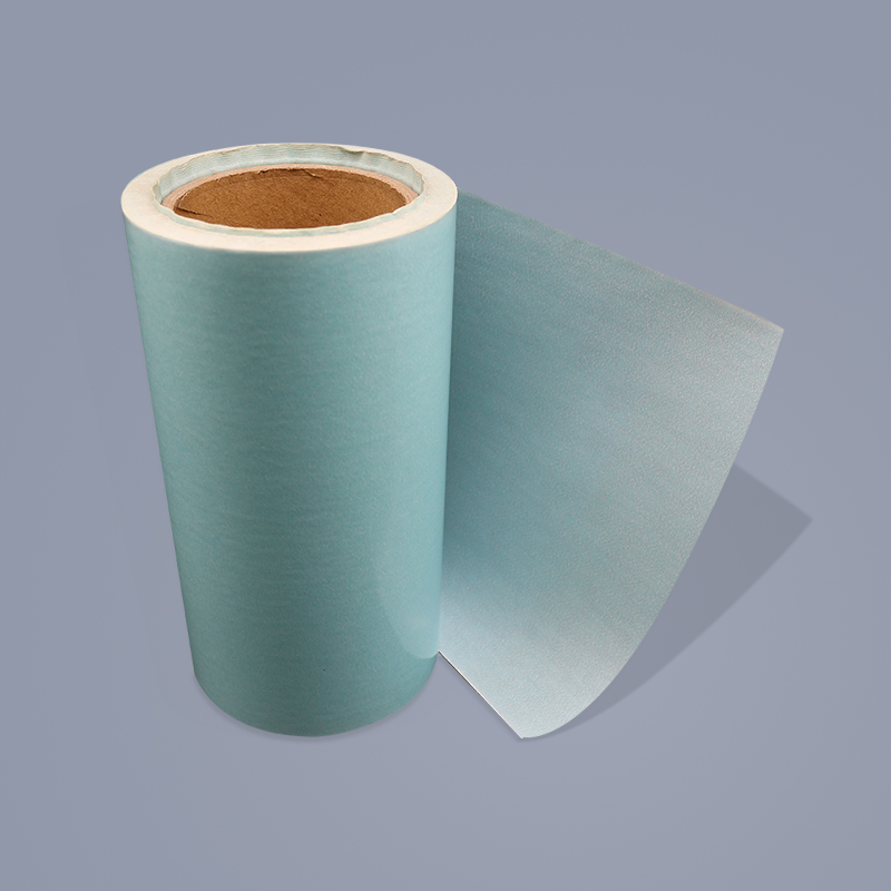 BLUE BRAIN RELEASE PAPER